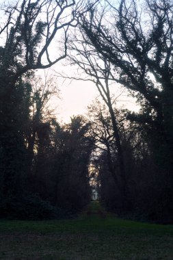 Gün batımında bir parkta açık bir alandan başlayan yol