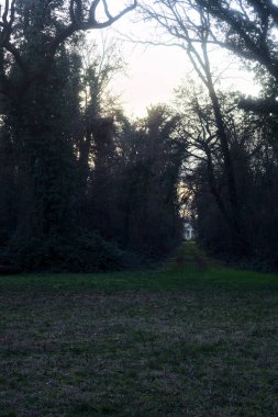Gün batımında bir parkta açık bir alandan başlayan yol