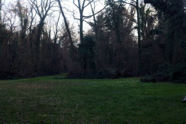 Gün batımında bir parkta açık bir alandan başlayan yol