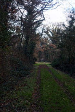Gün batımında parkın ortasında yapraklarla kaplı bir patika.