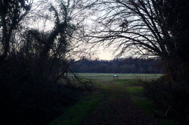 Bir çayıra giden ve gün batımında parkın sonundaki bir ağaçla biten patika.
