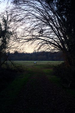 Bir çayıra giden ve gün batımında parkın sonundaki bir ağaçla biten patika.