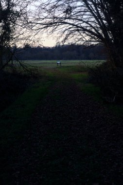 Bir çayıra giden ve gün batımında parkın sonundaki bir ağaçla biten patika.