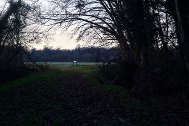 Bir çayıra giden ve gün batımında parkın sonundaki bir ağaçla biten patika.