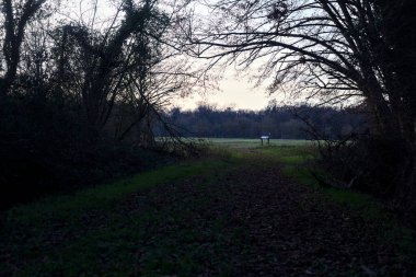 Bir çayıra giden ve gün batımında parkın sonundaki bir ağaçla biten patika.