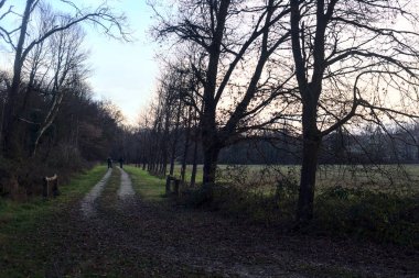 Gün batımında İtalya kırsalında bir orman ve bir sıra ağaçla çevrili bir yol.
