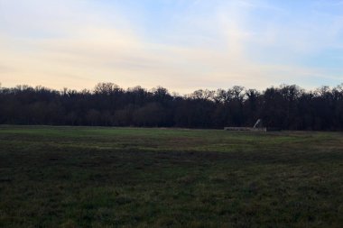 Günbatımında İtalya kırsalında bir ormanın yanındaki çayırda bir manastırın kalıntıları.