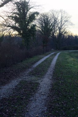 Gün batımında bir çayırın yanındaki ağaçlarla çevrili çakıl yolu.