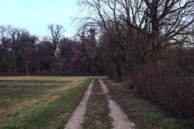 Gün batımında bir çayırın yanındaki ağaçlarla çevrili çakıl yolu.