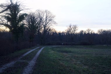 Gün batımında bir çayırın yanındaki ağaçlarla çevrili çakıl yolu.