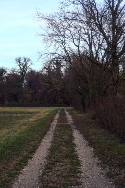 Gün batımında bir çayırın yanındaki ağaçlarla çevrili çakıl yolu.