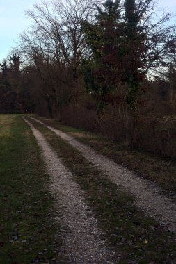 Gün batımında bir çayırın yanındaki ağaçlarla çevrili çakıl yolu.