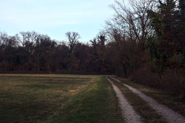 Gün batımında bir çayırın yanındaki ağaçlarla çevrili çakıl yolu.