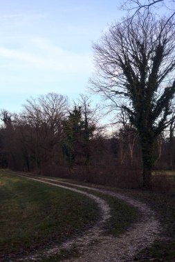 Gün batımında bir çayırın yanındaki ağaçlarla çevrili çakıl yolu.