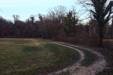Gün batımında bir çayırın yanındaki ağaçlarla çevrili çakıl yolu.