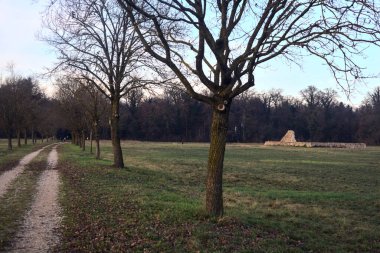 Gün batımında parkta iki sıra ağaçla çevrili bir yol.