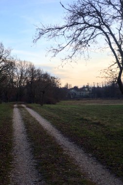 Çıplak ağaçlarla dolu patikanın yanındaki çayır ve gün batımında parkta bir köşk.