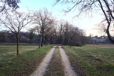 Gün batımında parkta iki sıra ağaçla çevrili bir yol.