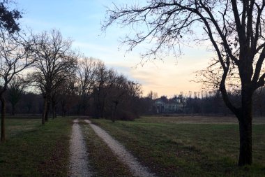 Çıplak ağaçlarla dolu patikanın yanındaki çayır ve gün batımında parkta bir köşk.