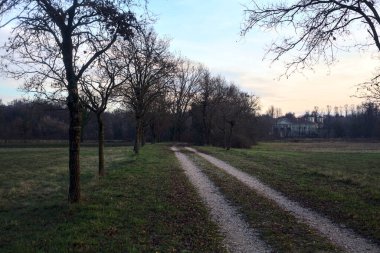 Çıplak ağaçlarla dolu patikanın yanındaki çayır ve gün batımında parkta bir köşk.