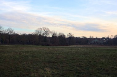 Çıplak ağaçlarla dolu patikanın yanındaki çayır ve gün batımında parkta bir köşk.