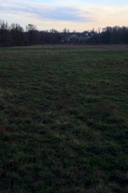 Çıplak ağaçlarla dolu patikanın yanındaki çayır ve gün batımında parkta bir köşk.