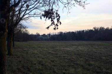 Çıplak ağaçlarla dolu patikanın yanındaki çayır ve gün batımında parkta bir köşk.