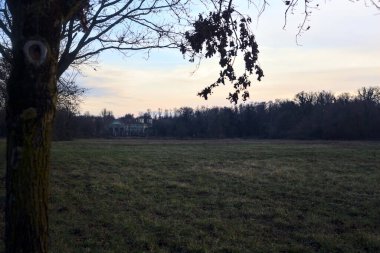 Çıplak ağaçlarla dolu patikanın yanındaki çayır ve gün batımında parkta bir köşk.