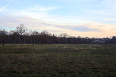 Çıplak ağaçlarla dolu patikanın yanındaki çayır ve gün batımında parkta bir köşk.