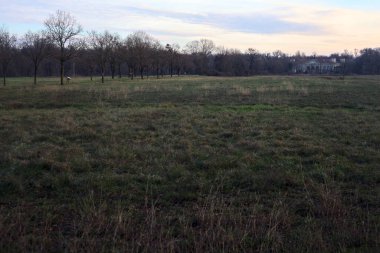 Çıplak ağaçlarla dolu patikanın yanındaki çayır ve gün batımında parkta bir köşk.