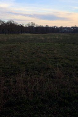 Çıplak ağaçlarla dolu patikanın yanındaki çayır ve gün batımında parkta bir köşk.