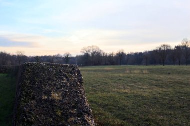 Günbatımında İtalya kırsalında bir ormanın yanındaki çayırda bir manastırın kalıntıları.