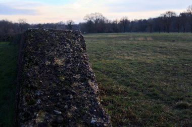 Günbatımında İtalya kırsalında bir ormanın yanındaki çayırda bir manastırın kalıntıları.