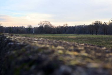 Günbatımında İtalya kırsalında bir ormanın yanındaki çayırda bir manastırın kalıntıları.