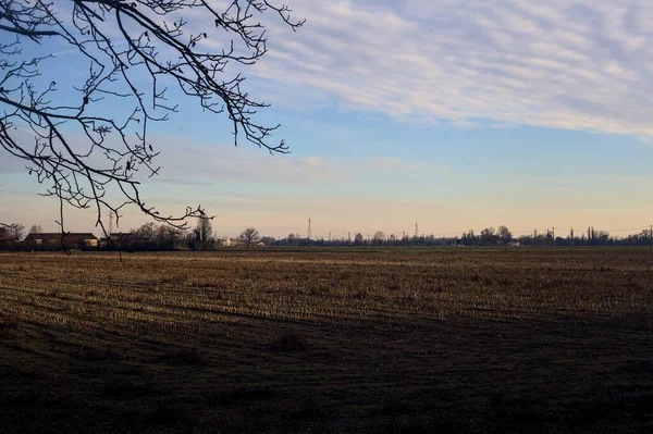 İtalya 'nın kırsalında gün batımında ekilmiş bir tarla çıplak bir ağaç tarafından çerçevelenmiş.