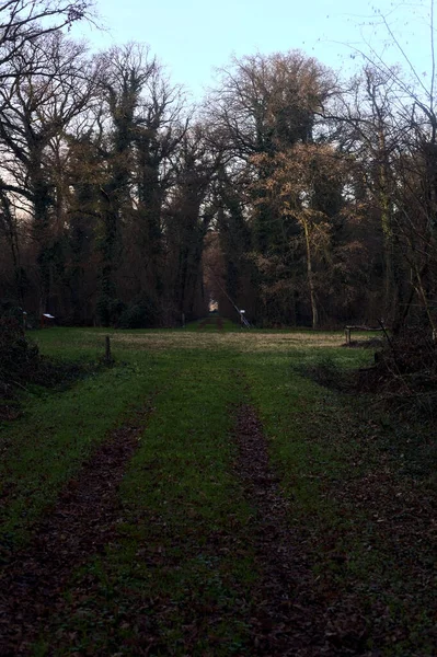 Çimlerin ve yaprakların olduğu patika gün batımında bir parkta açık bir alana çıkar.