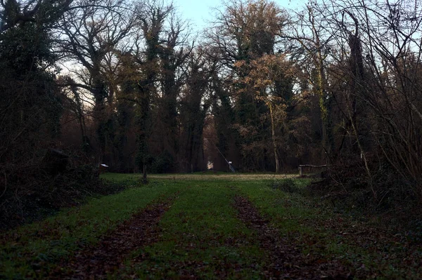 Çimlerin ve yaprakların olduğu patika gün batımında bir parkta açık bir alana çıkar.