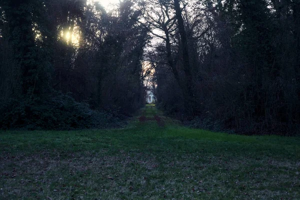 Gün batımında bir parkta açık bir alandan başlayan yol