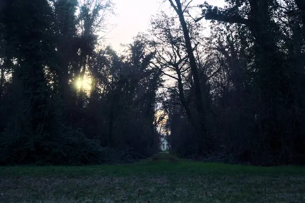 Gün batımında bir parkta açık bir alandan başlayan yol