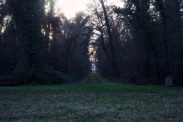 Gün batımında bir parkta açık bir alandan başlayan yol