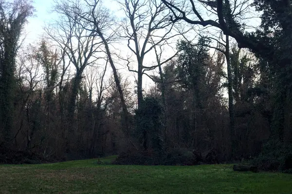 Gün batımında bir parkta açık bir alandan başlayan yol