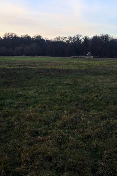 Günbatımında İtalya kırsalında bir ormanın yanındaki çayırda bir manastırın kalıntıları.