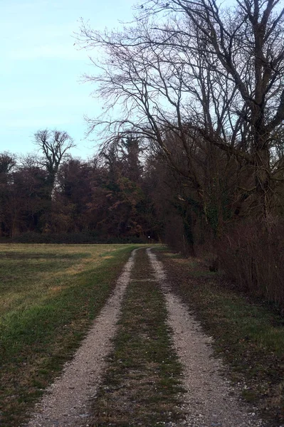 Gün batımında bir çayırın yanındaki ağaçlarla çevrili çakıl yolu.