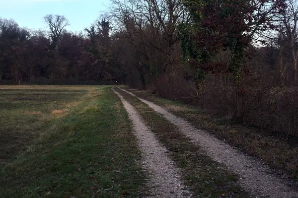 Gün batımında bir çayırın yanındaki ağaçlarla çevrili çakıl yolu.
