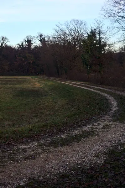 Gün batımında bir çayırın yanındaki ağaçlarla çevrili çakıl yolu.