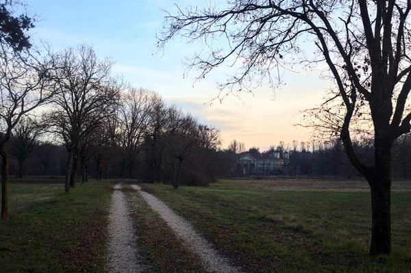 Çıplak ağaçlarla dolu patikanın yanındaki çayır ve gün batımında parkta bir köşk.