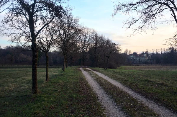 Çıplak ağaçlarla dolu patikanın yanındaki çayır ve gün batımında parkta bir köşk.