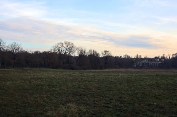 Çıplak ağaçlarla dolu patikanın yanındaki çayır ve gün batımında parkta bir köşk.