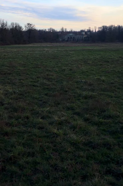 Çıplak ağaçlarla dolu patikanın yanındaki çayır ve gün batımında parkta bir köşk.