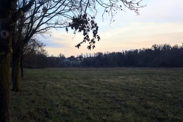 Çıplak ağaçlarla dolu patikanın yanındaki çayır ve gün batımında parkta bir köşk.